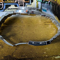 PXL_20261003_160220060.jpg