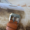 PXL_20261002_210328208.jpg